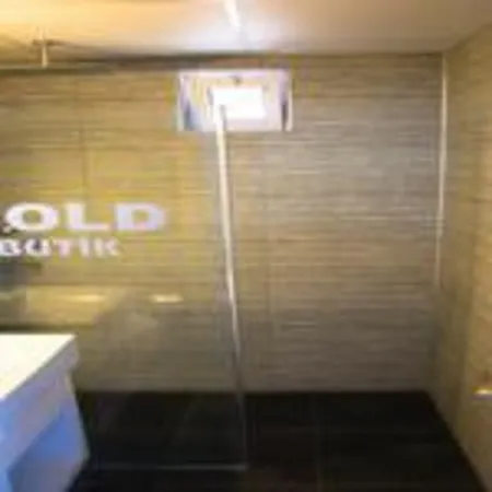 酒店 Gold Butik 3*
